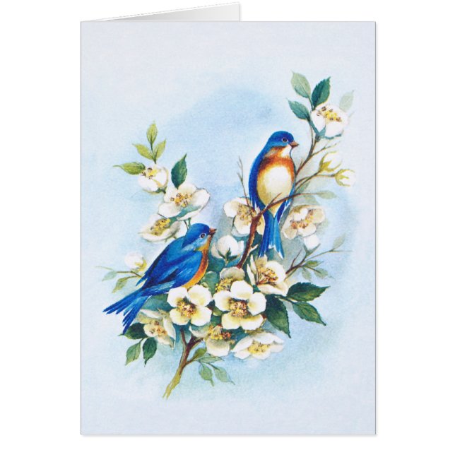 Dos Bluebirds (Frente)