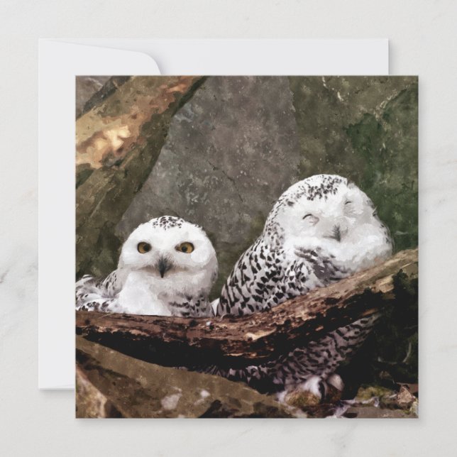 Dos búhos (Anverso)