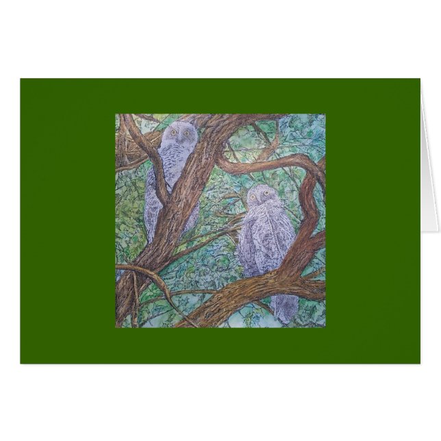 dos búhos (Anverso (Horizontal))