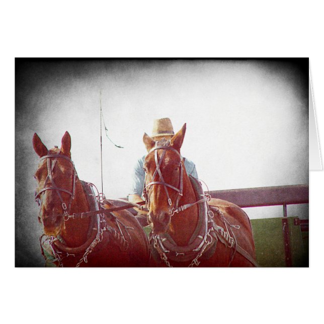 Dos caballos Amish Team Faux Vintage (Anverso (Horizontal))