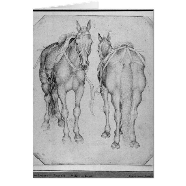 Dos caballos, el álbum de Vallardi (Frente)