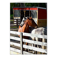 Dos caballos en amor