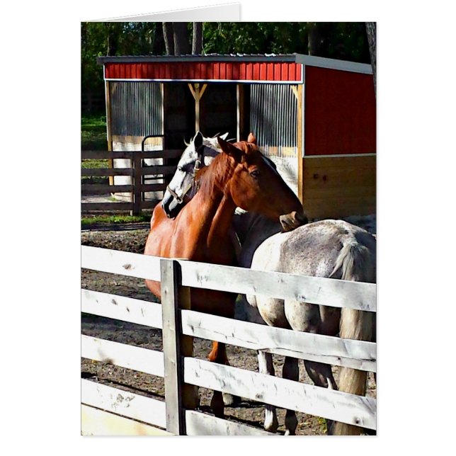 Dos caballos en amor (Frente)