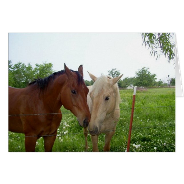 Dos caballos - En blanco dentro (Anverso (Horizontal))