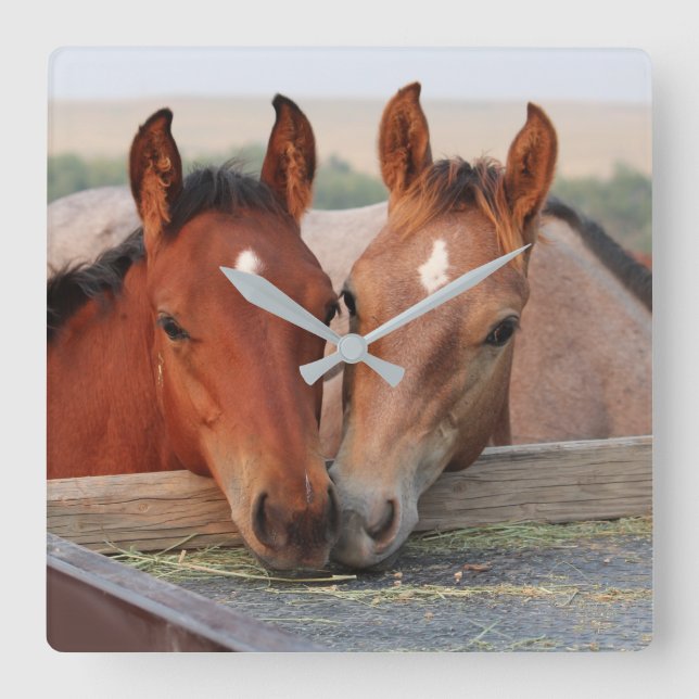 Dos Caballos Marrones en Reloj de Pared de Granja  (Anverso)