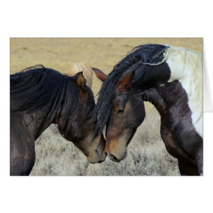 Dos caballos salvajes marrones acariciándose