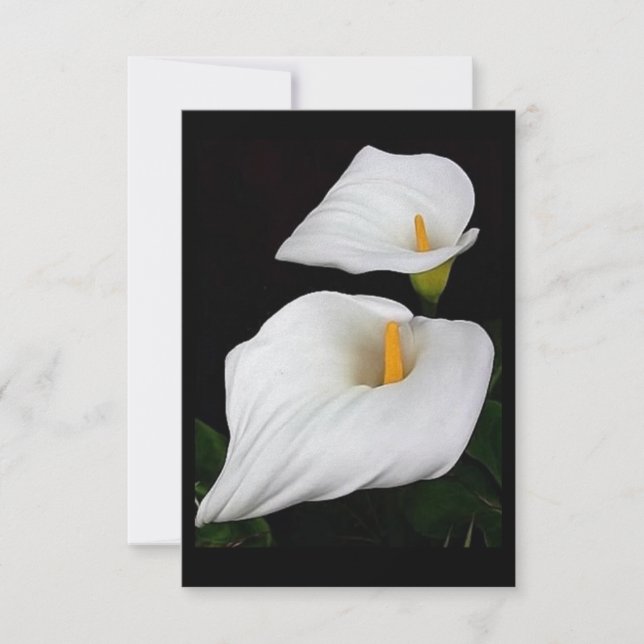 Dos Calla Lilies #9 (Anverso)