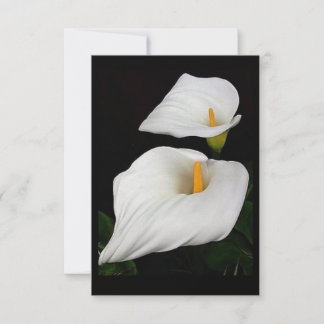 Dos Calla Lilies #9
