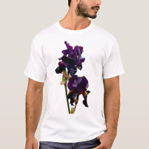 Dos camisetas irlandesas moradas oscuras