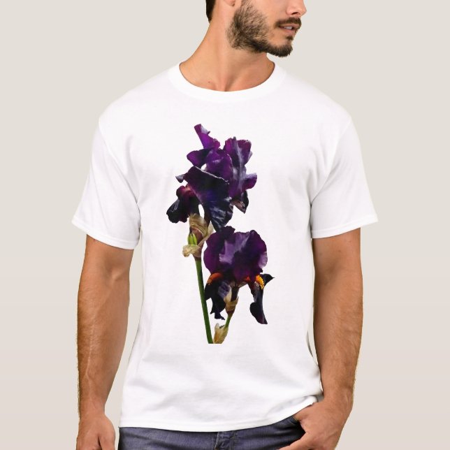 Dos camisetas irlandesas moradas oscuras (Anverso)