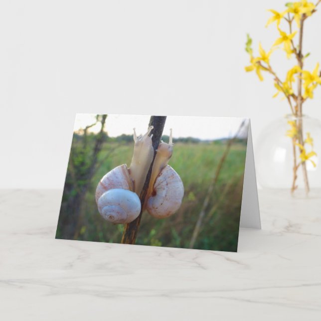 Dos caracoles en una tarjeta madre (flor amarilla)