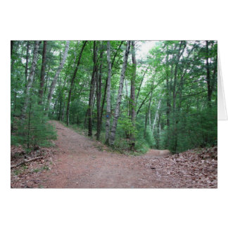Dos Carreteras Diversas En Una Madera Amarilla