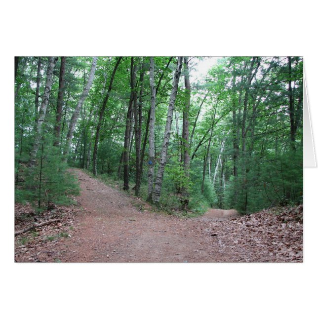 Dos Carreteras Diversas En Una Madera Amarilla (Anverso (Horizontal))