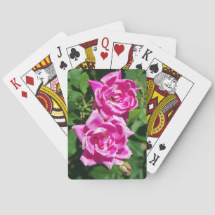 Dos cartas rojas rosadas