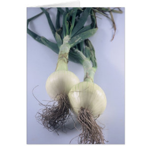 Dos cebollas