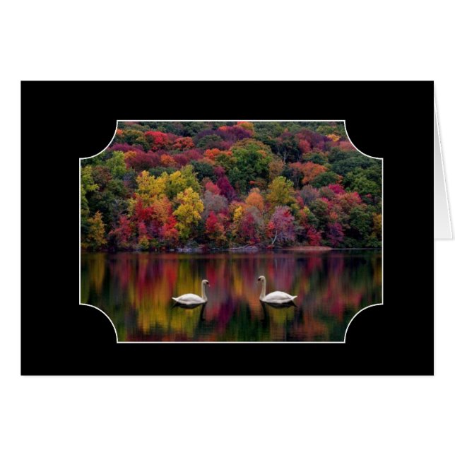 Dos Cisnes (Anverso (Horizontal))