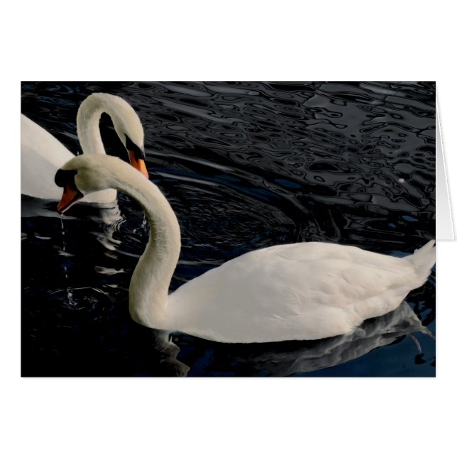 Dos Cisnes (Anverso (Horizontal))