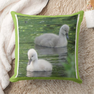 Dos cisnes bebés más pequeños cierran el Cojín dec