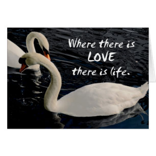 Dos cisnes en el lago