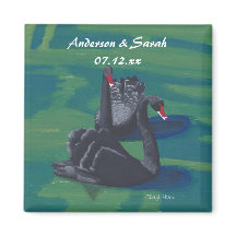 Dos cisnes negros nadando imanes de fecha personal