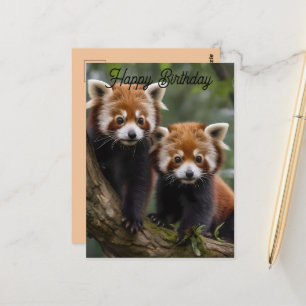 Dos crías de pandas rojos, tarjeta postal de cumpl
