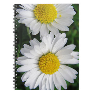 Dos cuaderno de daises blancos y lindos