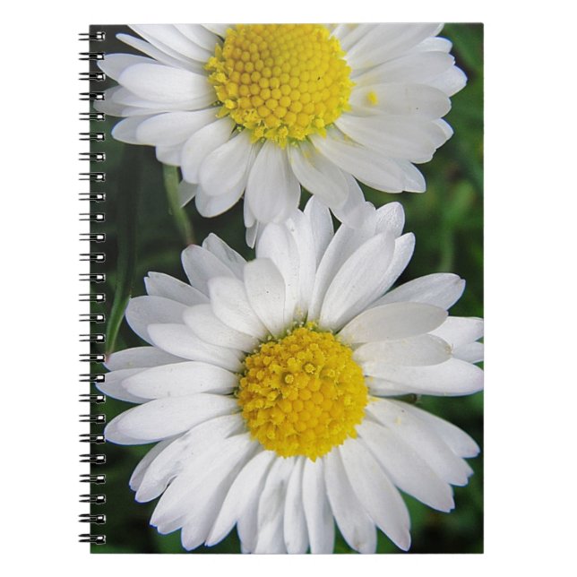 Dos cuaderno de daises blancos y lindos (Frente)