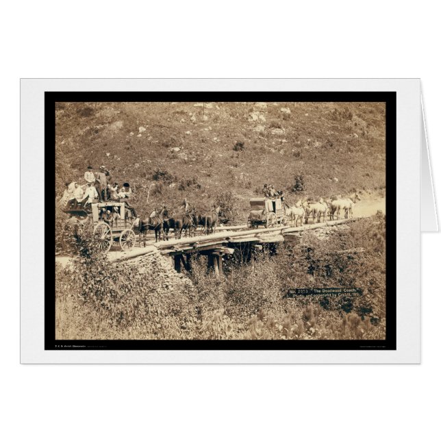 Dos cucarachas pasadas por las colinas negras en e (Anverso (Horizontal))