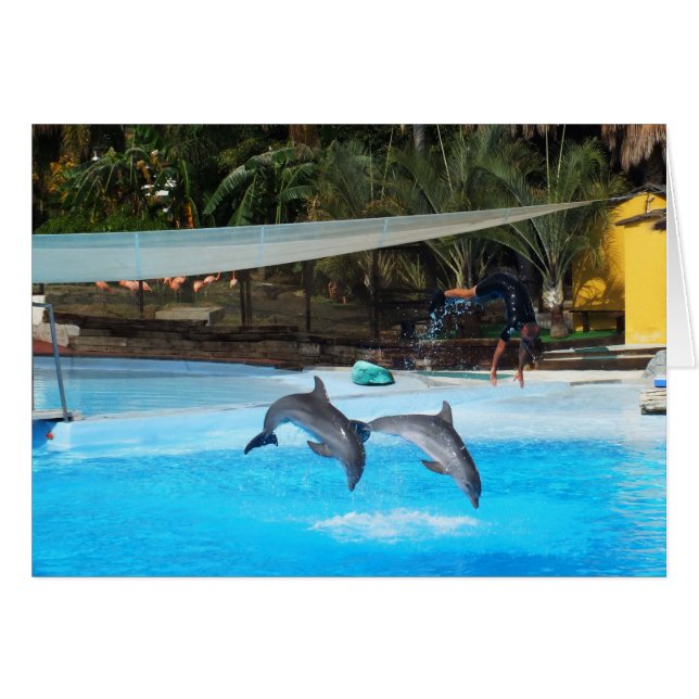 Dos delfines (Anverso (Horizontal))