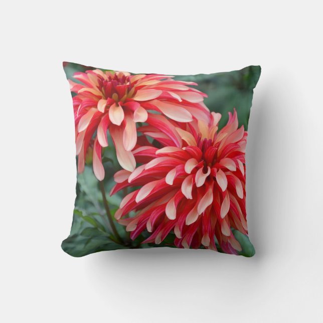 Dos flores de dalia rosada lanzan almohada (Anverso)