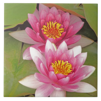 "DOS FLORES DE LOTO ROSADAS" baldosa decorativa