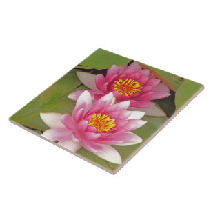 "DOS FLORES DE LOTO ROSADAS" baldosa decorativa