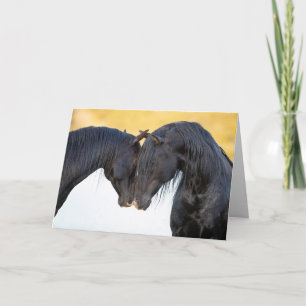 Dos Freinds Stallion - Tarjetas de felicitación