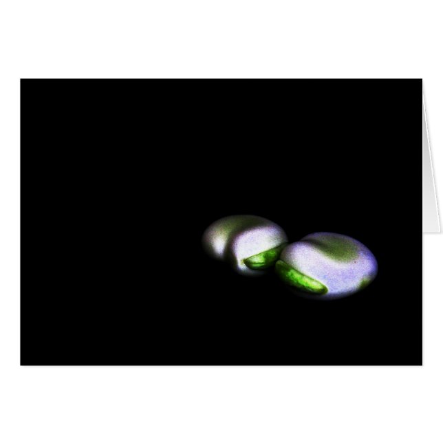 Dos frijoles grandes de ccna (Anverso (Horizontal))