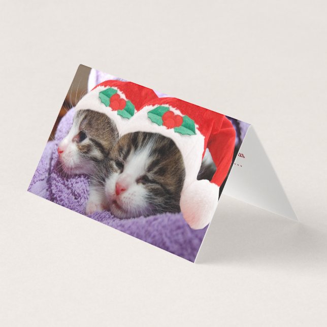 Dos gatitos con tarjeta navideña de Papá Noel (Anverso)
