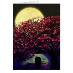 Dos gatos que admiran el claro de luna