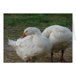 Dos Geese