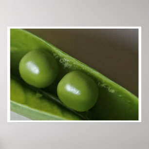 Dos guisos en el arte Poster de Pod