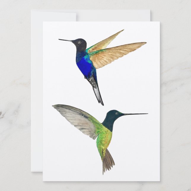 Dos Hummingbirds (Anverso)