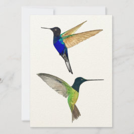 Dos Hummingbirds