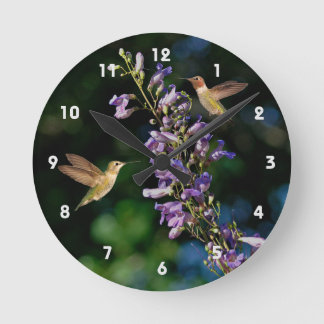 Dos Hummingbirds En Vuelo Con Reloj De Pared De Fl