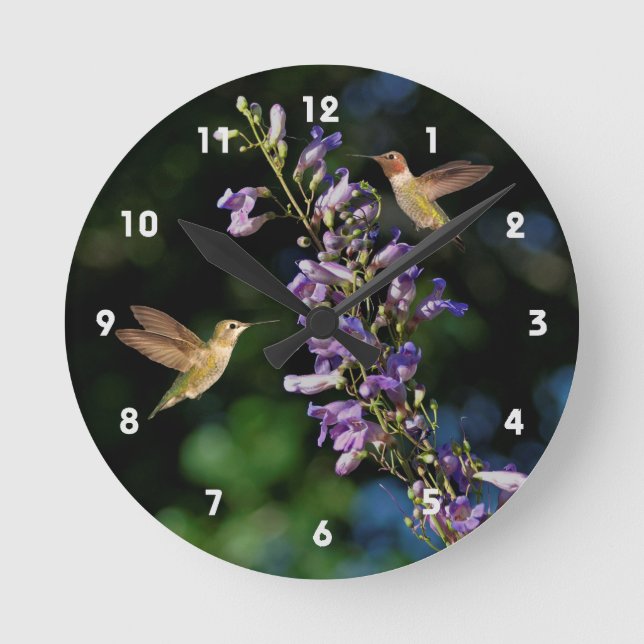 Dos Hummingbirds En Vuelo Con Reloj De Pared De Fl (Anverso)