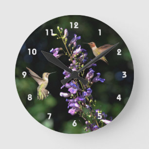 Dos Hummingbirds En Vuelo Con Reloj De Pared De Fl