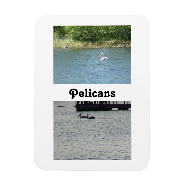 Dos imanes flexibles pelícanos (Vertical)