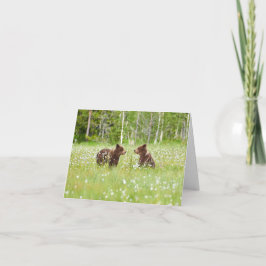 Dos jóvenes amigos osos marrones doblando tarjeta 