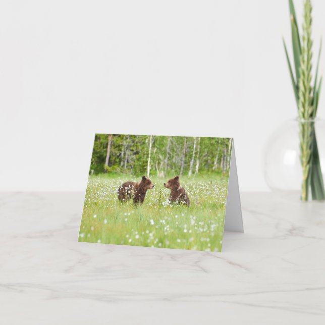 Dos jóvenes amigos osos marrones doblando tarjeta  (Anverso)