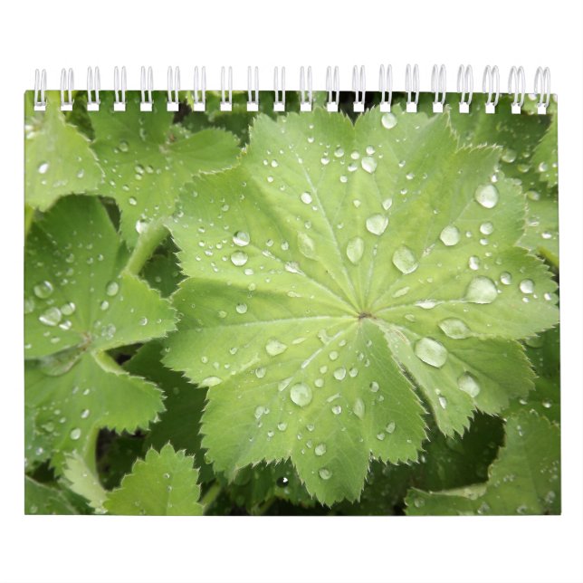 Dos la página, pequeña, 7" x11", el calendario (Tapa)