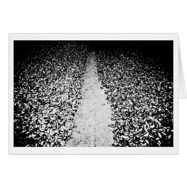 dos lados del cacao (Anverso (Horizontal))