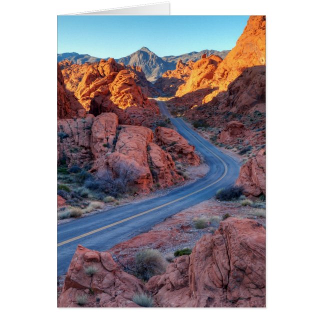 Dos Lane Splendor (Frente)