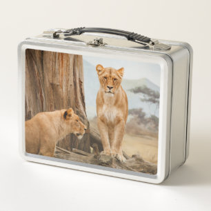 Dos leones